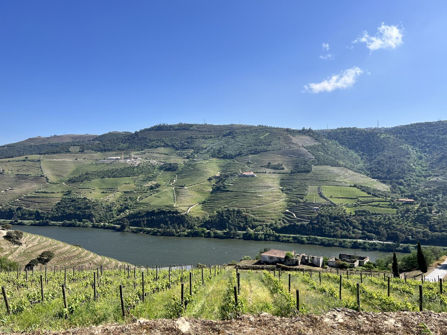 Terraced vineyards above a river valley