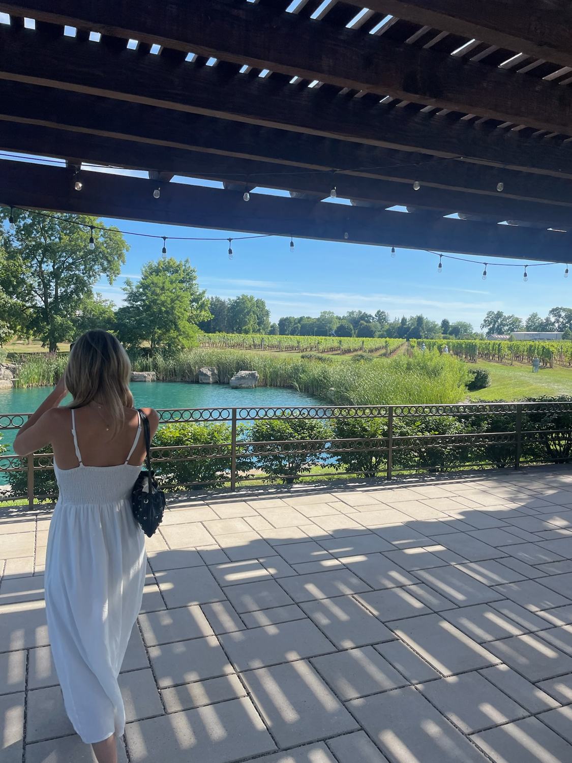 A member looking out over the pond from under the pergola