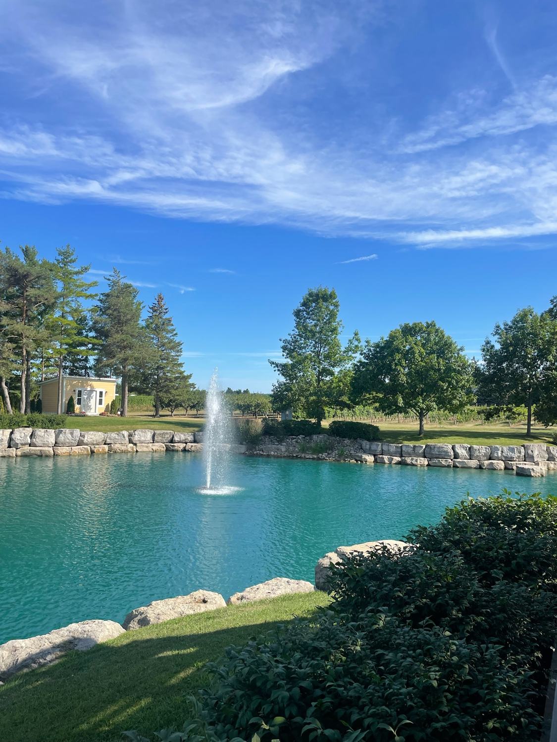 A fountain on the pond in the winery grounds