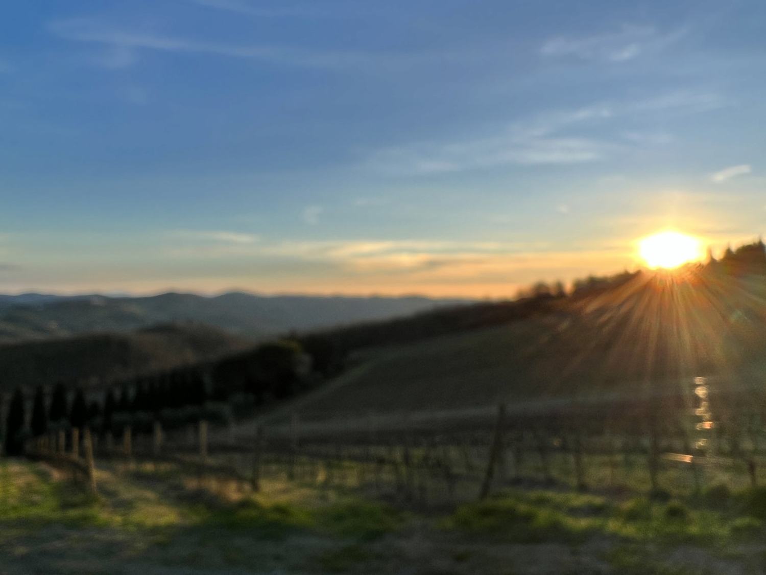 Sunset over vineyard hills